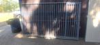 Hondenren met deur, Dieren en Toebehoren, Ophalen, Hondenkennel, 110 cm of meer, 100 cm of meer