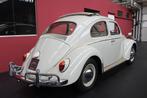 Gezocht Volkswagen kever ragtop, Particulier, Wit, Te koop