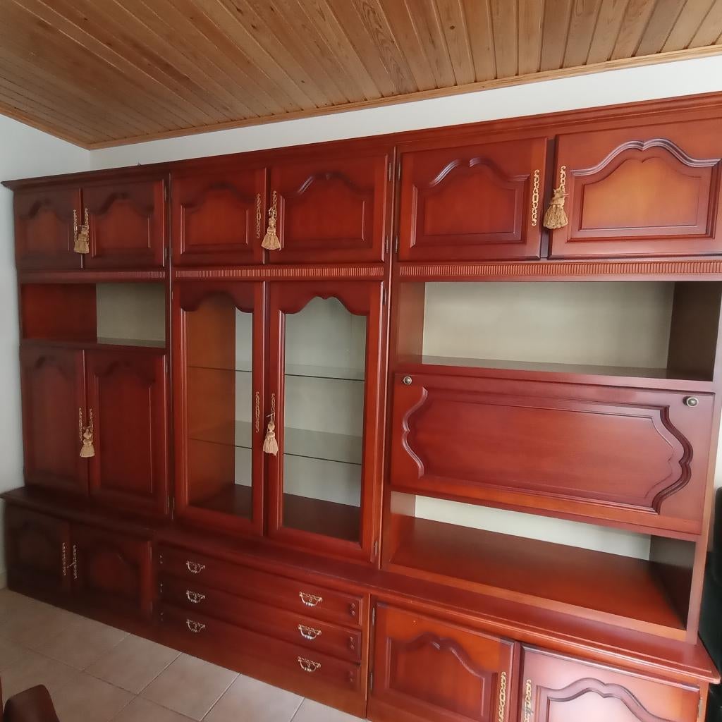 wandkast, Huis en Inrichting, Kasten | Wandmeubels, Ophalen, Gebruikt, 200 cm of meer, 300 cm of meer