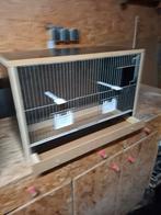 Nieuw vogelkooi, Ophalen, Nieuw, Hout, Broedkooi of Kweekkooi