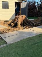 bois de chauffage, Jardin & Terrasse, Bois de chauffage, 3 à 6 m³, Enlèvement, Chêne, Troncs d'arbres