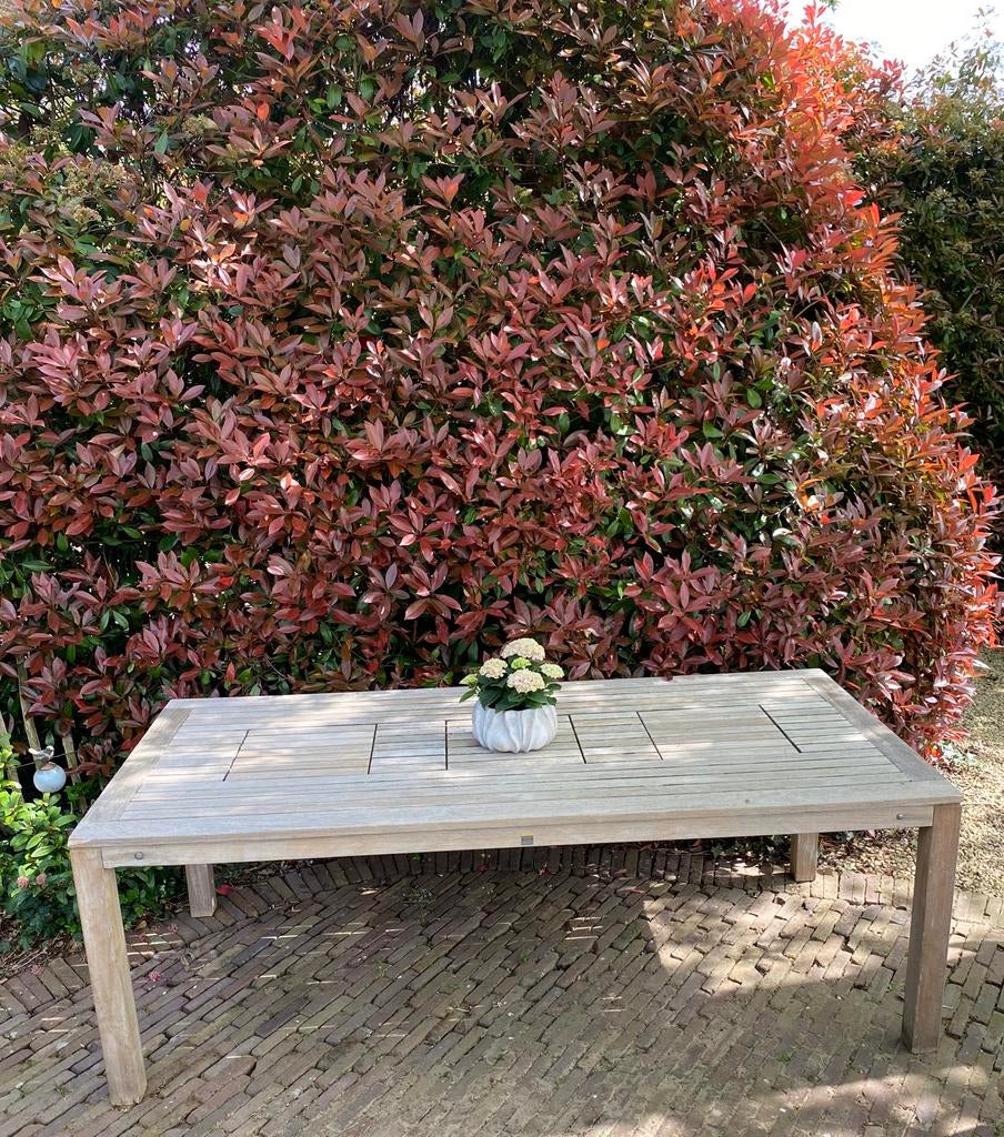 Teak tuintafel groot, Enlèvement, Utilisé