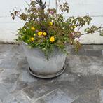 Grote plantenbak, Jardin & Terrasse, Enlèvement, Utilisé