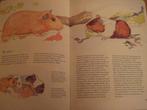 Livre animalier : Les animaux dans et autour de la maison , Livres, Animaux & Animaux domestiques, Enlèvement ou Envoi, Neuf, Autres espèces