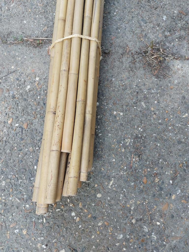 Bâtonnets de bambou d'environ 370 cm - neufs/jamais utilisés, Enlèvement