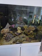 Te koop: Compleet zoutwateraquarium (200L) – zonder vissen, Dieren en Toebehoren, Ophalen, Zo goed als nieuw