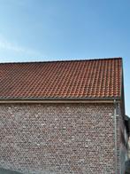 Boomse pannen met dubbele sluiting, Doe-het-zelf en Bouw, Ophalen, Steen of Klei, Zo goed als nieuw, Dakpannen