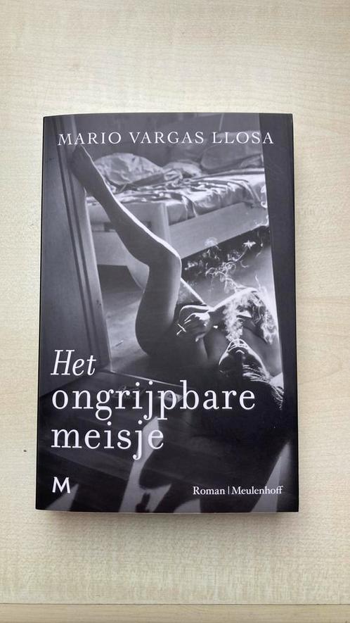 Het ongrijpbare meisje, Boeken, Romans, Zo goed als nieuw, Amerika, Ophalen
