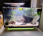 Superfish Quadro 40 Pro - Aquaria - Zwart 2 stuks, Ophalen, Zo goed als nieuw, Leeg aquarium