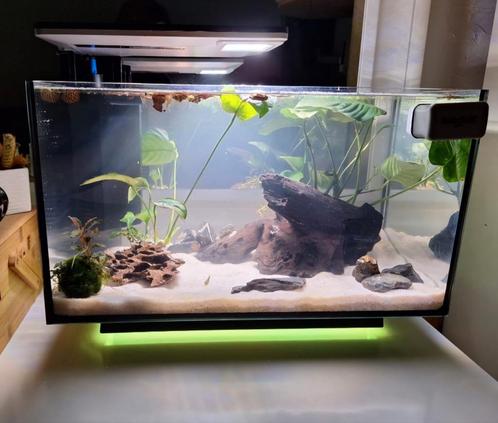 Superfish Quadro 40 Pro - Aquaria - Zwart 2 stuks, Dieren en Toebehoren, Vissen | Aquaria en Toebehoren, Zo goed als nieuw, Leeg aquarium