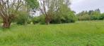 Stalplaats met weide te huur voor 1 of 2 paarden, Weidegang, 2 of 3 paarden of pony's