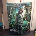 Bioscoop Poster Sirius Harry Potter, Ophalen of Verzenden, Zo goed als nieuw