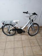 Minerva 20 inch, Ophalen, Gebruikt, 20 inch of meer, Minerva