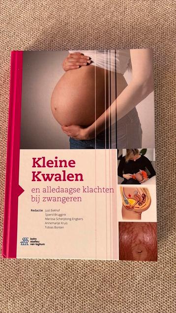 Kleine Kwalen en alledaagse klachten bij zwangeren beschikbaar voor biedingen