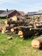 vers brandhout, Ophalen