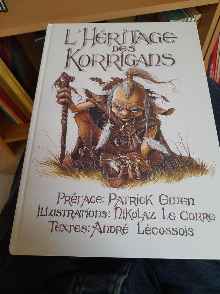 L' héritage des Korrigans, Livres, BD, Comme neuf, Une BD, Enlèvement