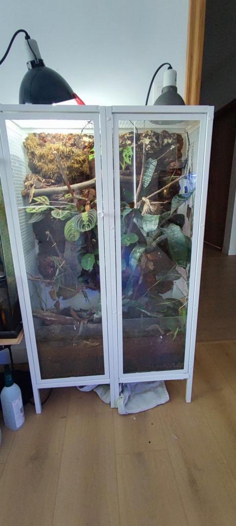 Terrarium, Dieren en Toebehoren, Reptielen en Amfibieën | Toebehoren, Ophalen