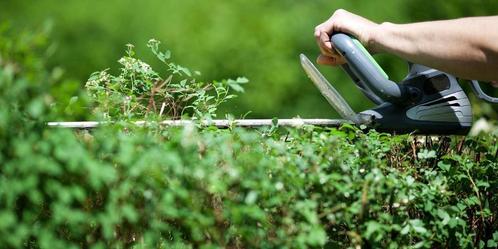 Jardinier sérieux avec expérience vous propose ses services, Diensten en Vakmensen, Tuinmannen en Stratenmakers, Tuinonderhoud of Snoeiwerk