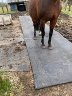 Slijk beu/ rubbermatten leggen 10 meter, Dieren en Toebehoren, Stalling en Weidegang