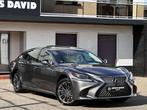 Lexus LS 500 h E-Four Luxury AWD 1.Hd*LED*Massage*HdUp, Auto's, Lexus, Te koop, 2425 kg, Zilver of Grijs, Berline