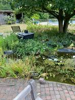 vijverpomp + filter + stofzuiger, Tuin en Terras, Ophalen, Gebruikt, Vijverpomp