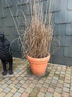 Gratis bloempot kunststof, Tuin en Terras, Ophalen, Zo goed als nieuw, Kunststof, Tuin