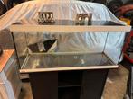 Aquarium eheim 260l comme neuf avec meuble et decoration, Ophalen, Zo goed als nieuw