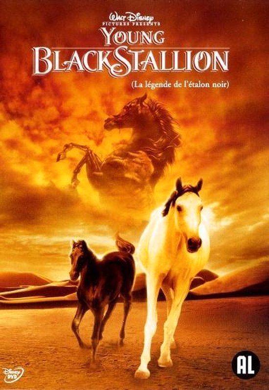 Disney dvd - Young Black Stallion, CD & DVD, DVD | Classiques, Enlèvement ou Envoi