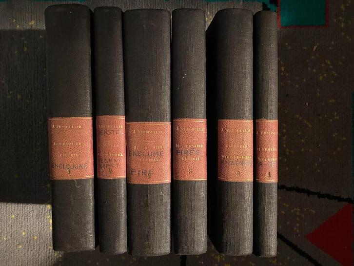 Oude woordenboeken Fransch - Nederlandsch - 6 boeken, Antiek en Kunst, Antiek | Boeken en Manuscripten, Ophalen of Verzenden