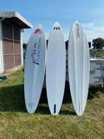 Mijn complete windsurfuitrusting te koop!!, Ophalen, Gebruikt, 250 tot 300 cm, Met draagtas