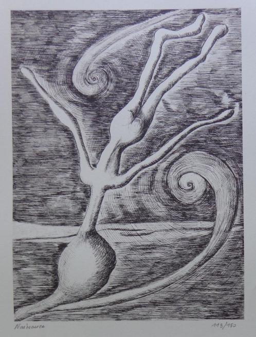 ARMAND SIMON / SURREALISME / ZW-W LITHO / 66x50cm / SIG, Antiek en Kunst, Kunst | Litho's en Zeefdrukken, Ophalen of Verzenden