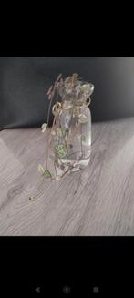 Stekjes ceropegia woodii variegata - string of hearts, Ophalen of Verzenden, Zo goed als nieuw