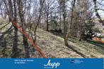Bouwgrondstuk met helling en bomen, driehoekig indeling., Duitsland, Landelijk