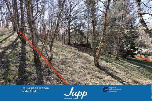 Bouwgrondstuk met helling en bomen, driehoekig indeling., Immo, Buitenland, Duitsland, Landelijk