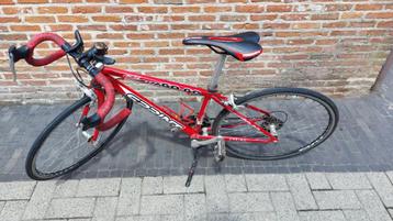 kinder koersfiets beschikbaar voor biedingen
