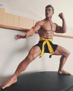 Statue de collection JCVD Bloodsport (Pop Culture Shock) 1/3, Ophalen, Zo goed als nieuw, Mens