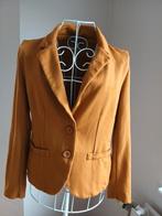 36 petites portées ! Lavable !, Enlèvement ou Envoi, Autres couleurs, Taille 36 (S), Manteau