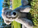 Teddybeer, Kinderen en Baby's, Speelgoed | Knuffels en Pluche, Ophalen of Verzenden, Beer
