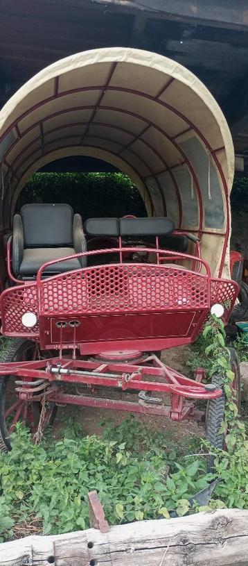 Char à banc, Utilisé, Wagonette, Cheval