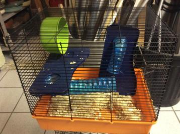 Cage pour hamsters, Enlèvement, Utilisé, Cage, Hamster