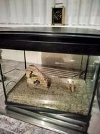 Aquarium, Dieren en Toebehoren, Ophalen, Gebruikt, Leeg aquarium