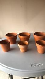 6intacte Terracotta potten., Ophalen, Terracotta