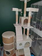 3 albino fretten + frettenkooi, Dieren en Toebehoren, Overige Dieren, Februari, Meerdere dieren