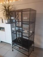Vogelkooi, Ophalen, Zo goed als nieuw, Vogelkooi