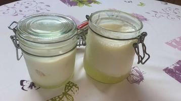 KEFIR Waterkefir of MelkKefir  beschikbaar voor biedingen
