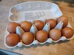 Vente d'œufs fermiers à 3€ pour 10 ou 0,3€ par œuf, Enlèvement, Comme neuf