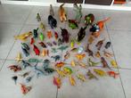 Lot dino's, Ophalen