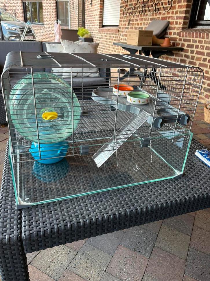 Crochet adapté au hamster, Animaux & Accessoires, Rongeurs & Lapins | Cages & Clapiers, Comme neuf, Niche, Hamster, Enlèvement