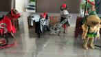 Playmobil Ridders, Ophalen of Verzenden, Zo goed als nieuw
