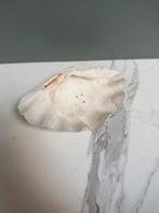 Doopvont schelp 20x13cm, Verzamelen, Mineralen en Fossielen, Ophalen